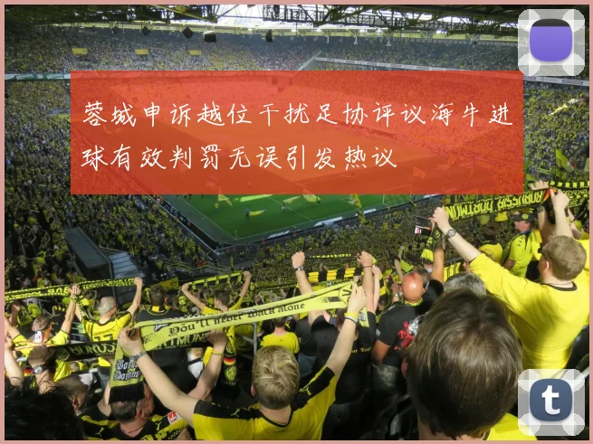 蓉城申诉越位干扰足协评议海牛进球有效判罚无误引发热议