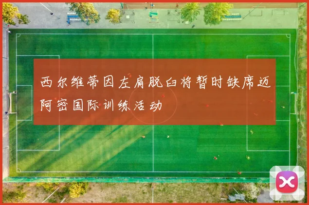 西尔维蒂因左肩脱臼将暂时缺席迈阿密国际训练活动
